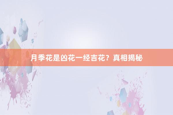 月季花是凶花一经吉花？真相揭秘