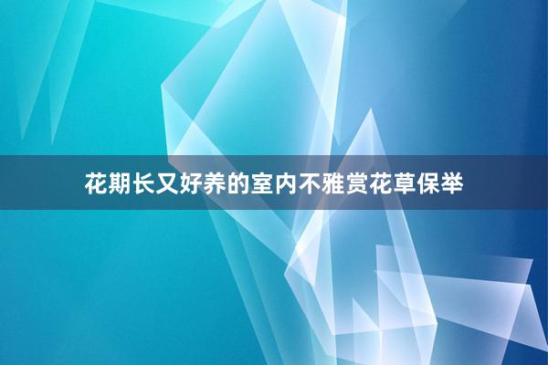 花期长又好养的室内不雅赏花草保举